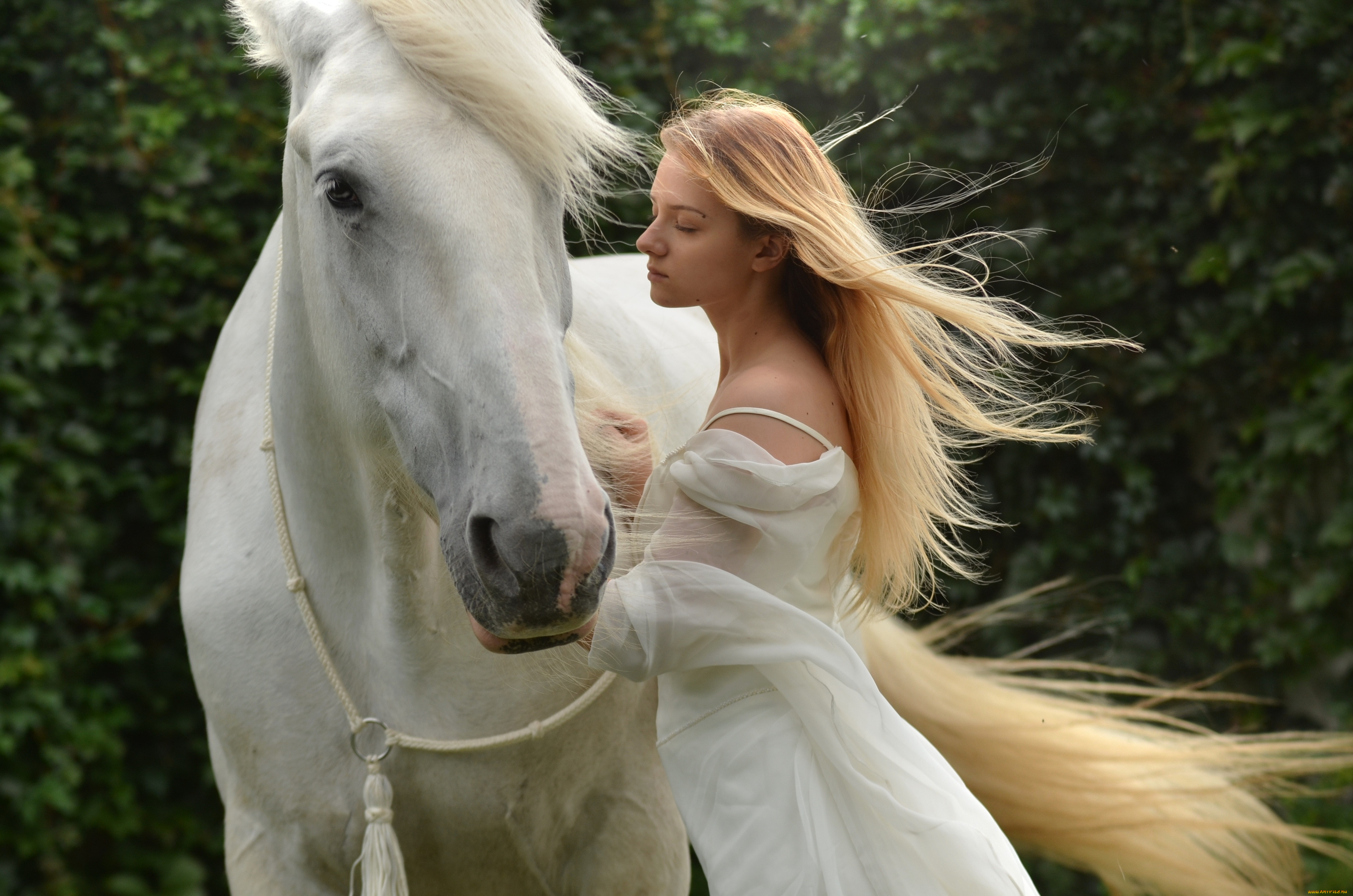 Верховая женщина. Фотосессия с белой лошадью. Девушка с лошадью. Девушка на лошади в белом платье. Блондинка на белой лошади.